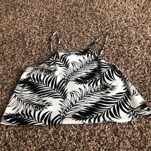 Black and white palm tree top